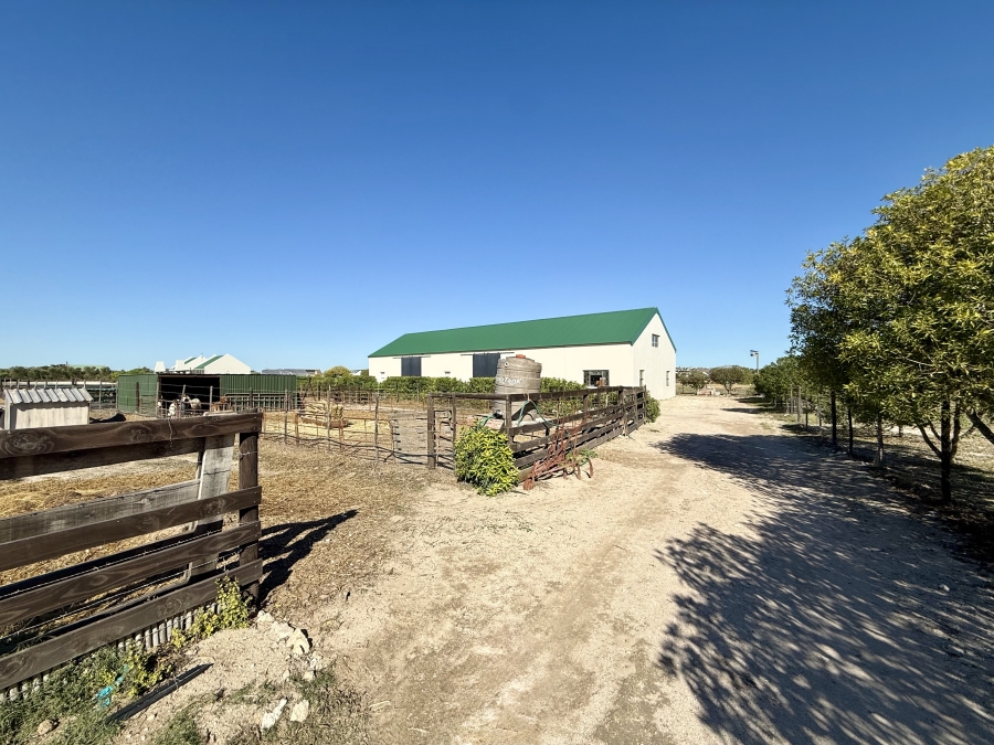 8 Bedroom Property for Sale in Long Acres Country Estate Western Cape